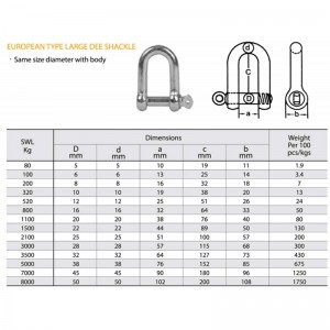 ヨーロッパ型亜鉛めっき大ディーシャックル