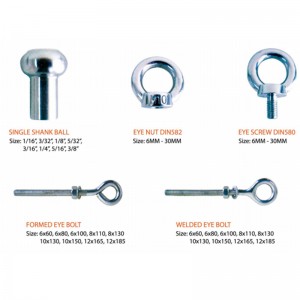 316鍛造DIN580アイネジ