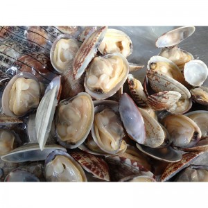 バキューム・シェル・オン・クラン