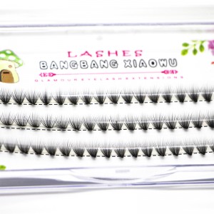 2Dから20 Dボリュームまつげクラスター拡張