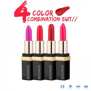 プライベートラベルの高品質の防水マット長持ちリップスティック