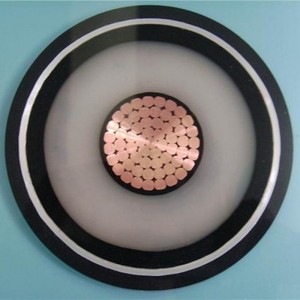 110kv Xlpe HV電源ケーブルコンパクトセグメント導体1000mm 2