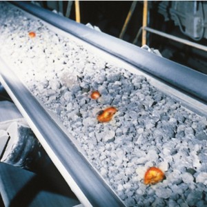 耐熱コンベアベルト