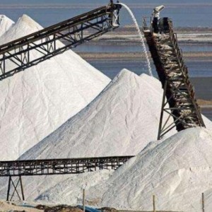 化学薬品/酸/アルカリ耐性の抵抗力があるコンベヤーベルト