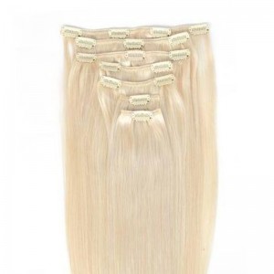 クリップインCROWN14