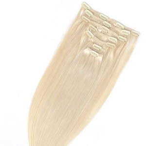 クリップインCROWN14