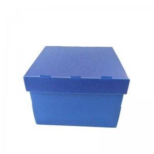 果物と野菜の箱