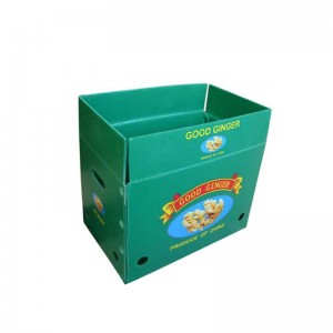 ジンジャーボックス