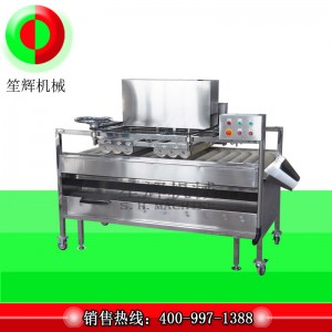 フルーツクリーナー/フルーツクリーナー/フルーツブラシクリーナー（ディープクリーニング）QM-2