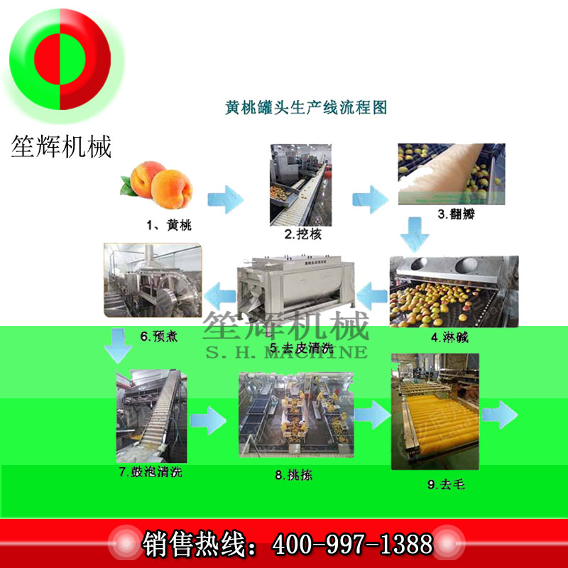 大型果実加工生産ライン/黄桃加工生産ライン