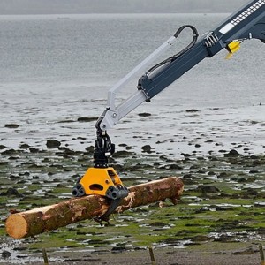 木材処理ガントリークレーン