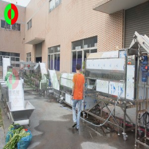 大きな野菜と果物の皮むきと切断の生産ライン