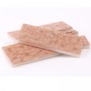 滅菌鍼プレス針