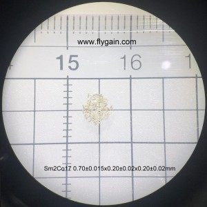 SMCOメーカー超小型精密マイクロマグネット