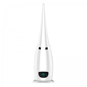 ライブラリ-113 F。