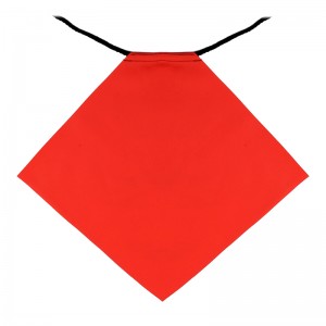 カヤックの安全フラグ