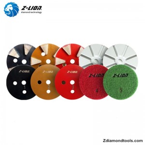 Z-LION 5段石乾式研磨パッドZL-FSP5