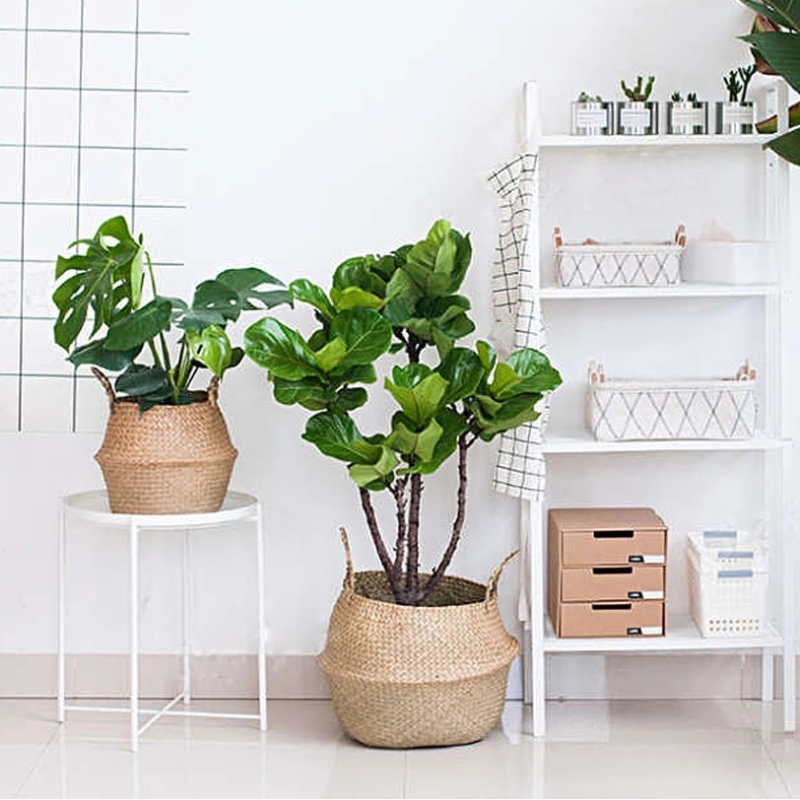 家の装飾フラワーポットスタンドオーバルハンギングシーグラスストレージバスケット