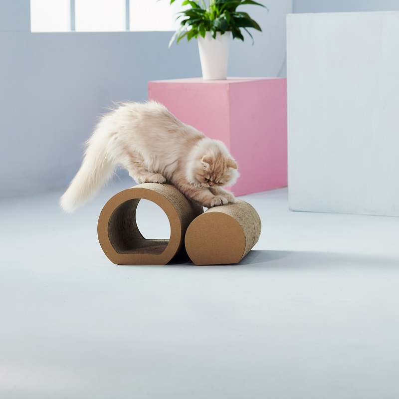 猫の傷つき2