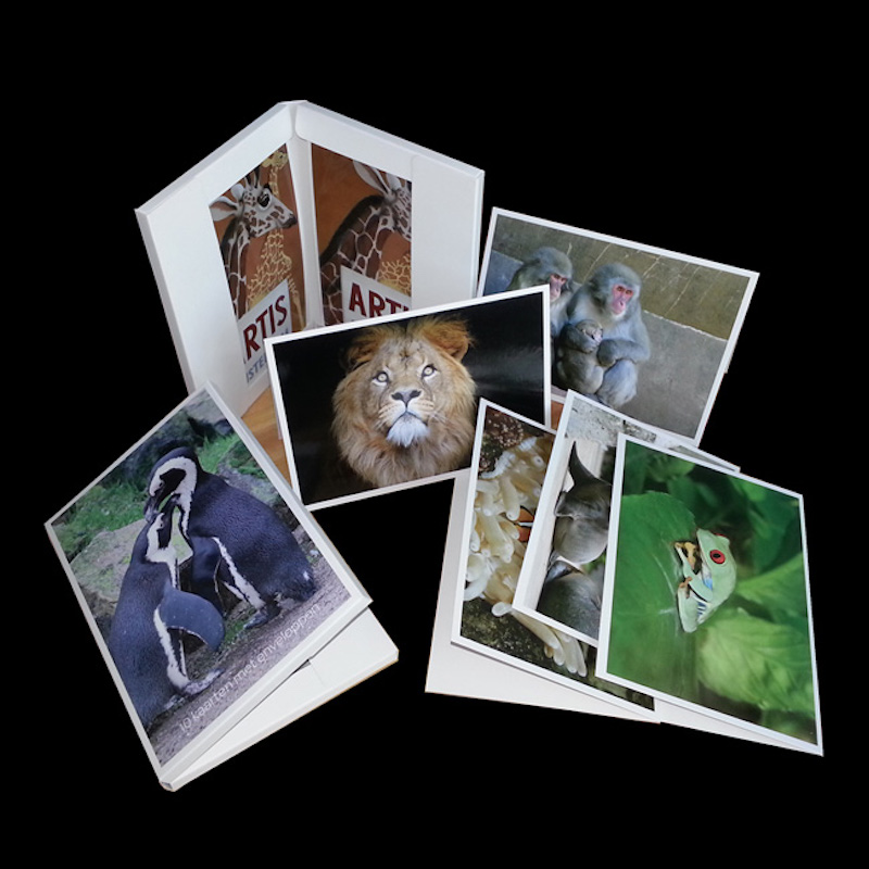 すべての行事、紙カード、グリーティングカードのグリーティングカード。旅行者用土産