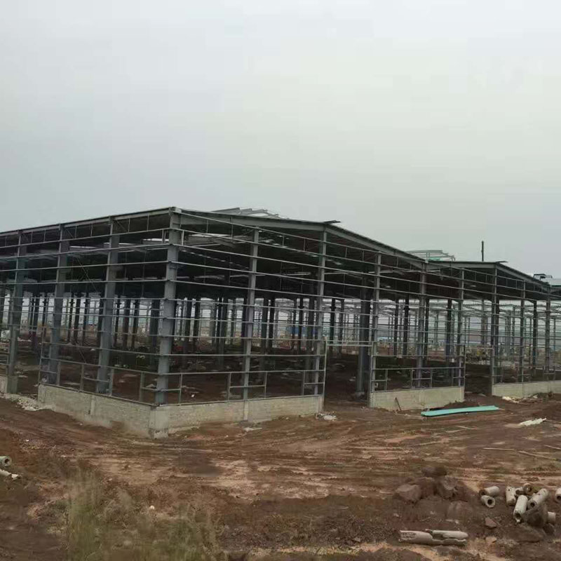 ヨーロッパプレハブ鋼構造倉庫建物への輸出