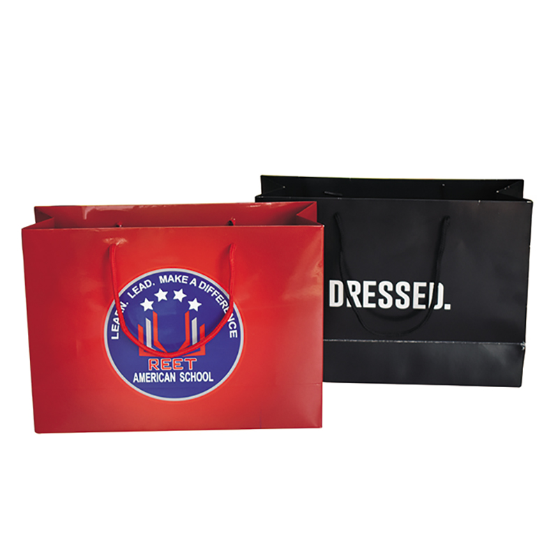 ショッピングバッグ001