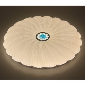 CX202シーリングライト