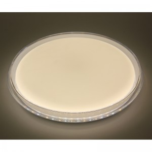 シーリングライト