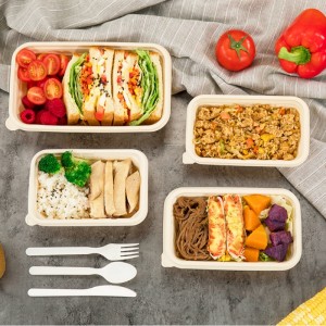 正方形の環境にやさしい堆肥化可能な使い捨て食品保存容器テイクアウトコーンスターチ生分解性食品容器