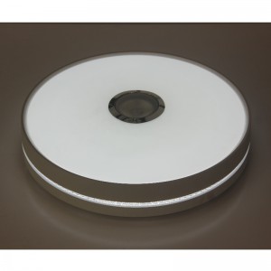 シーリングライト