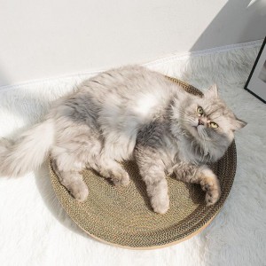 チェリー猫はボウルをつかむ