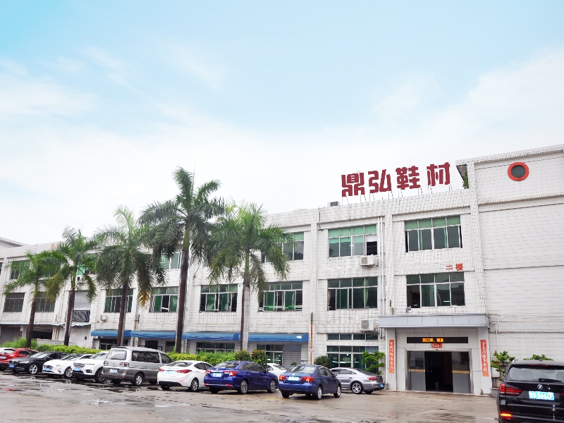 Dongguan Dinghong Shoe material Co.,Ltd