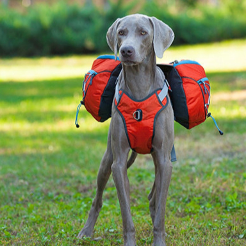 ハーネス暖かいペットコートベストウインドブレーカー冬の犬のジャケットと新しいデザインの反射犬の服