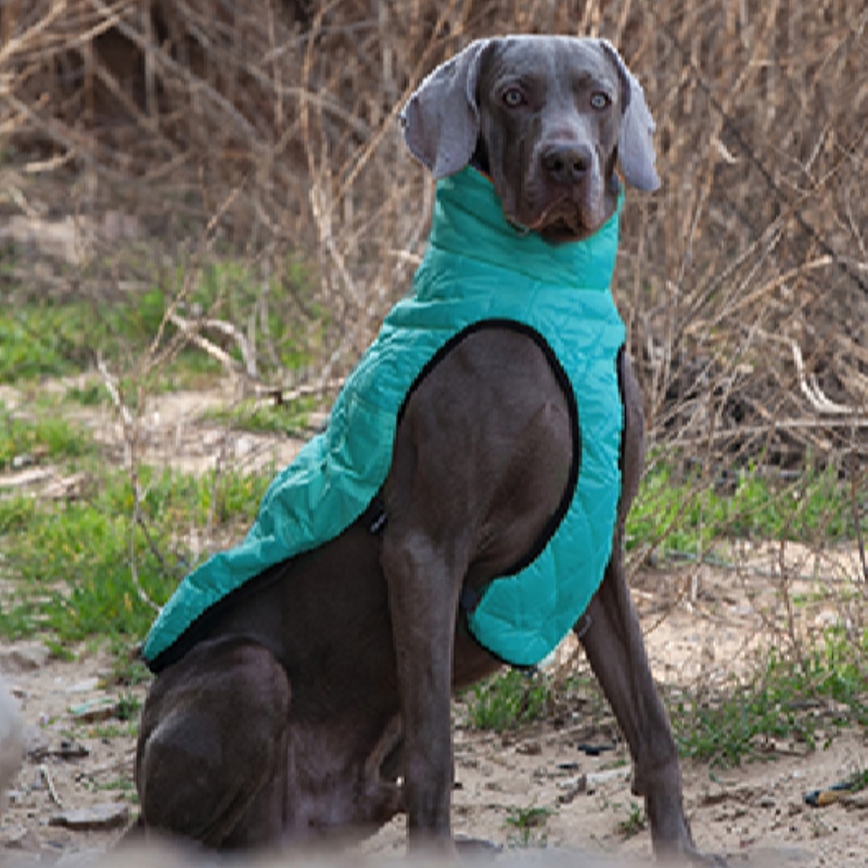 アマゾン熱い販売の新しいペット服犬の服秋と冬の厚い伸縮性のあるセーターペットのセーター