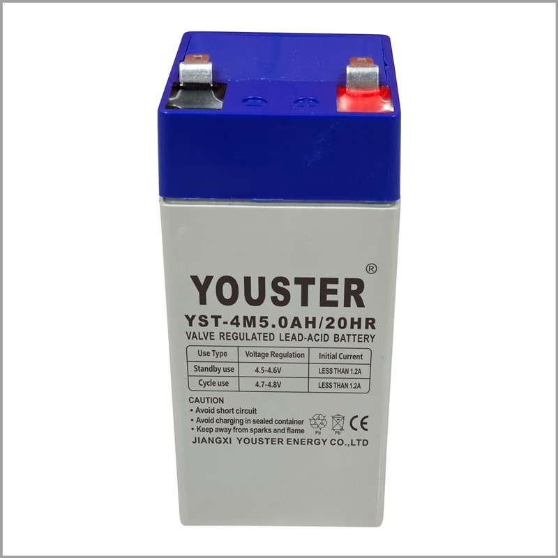 Youster充電可能な小さな密封された鉛酸バッテリー4V 5AH 20時間緊急照明/アラームシステム