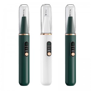 家庭用使用視覚化超音波歯科微積分掃除機、組み込みの高解像度カメラ、3つの洗浄歯を備えたLEDライト