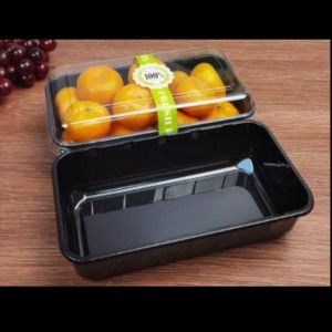 Durian Box 195*105*60 mm Hgf-08