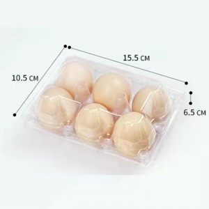 卵トレイ155*105*65 mm 6溝