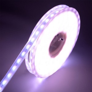 5050 60LEDS/m WRGBWW LEDストリップ