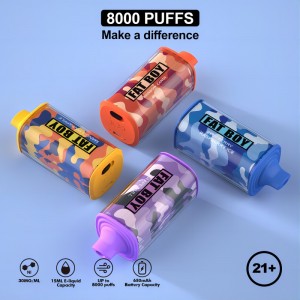 elfworld reload 8000 puffs fluum vapeジュースe液体ボルトバルタイプ-c充電式使い捨て蒸気