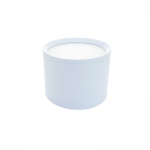 導かれたダウンライト