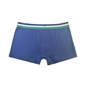 下着の男性のクリスマスボクサーブリーフをカスタマイズ