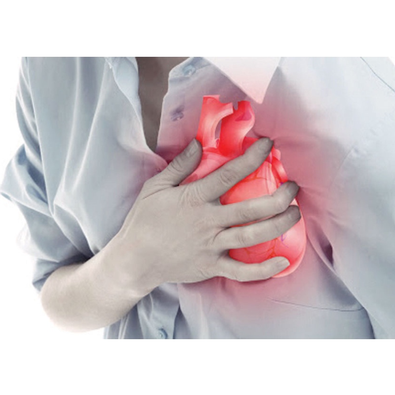 南京医科大学：NMNは心筋梗塞を改善します
