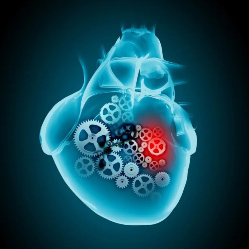心血管疾患の治療におけるnad+の研究の進歩