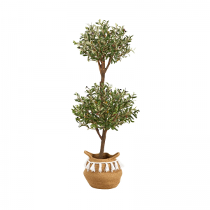 観葉植物