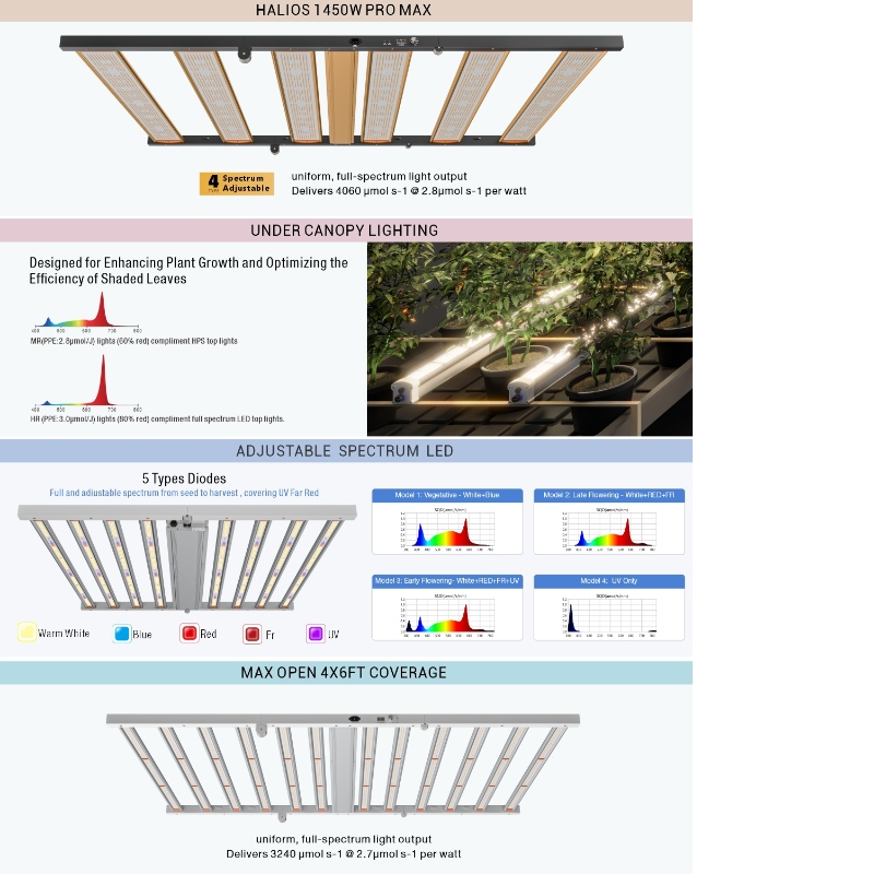 1703587247.jpg 1.jpg