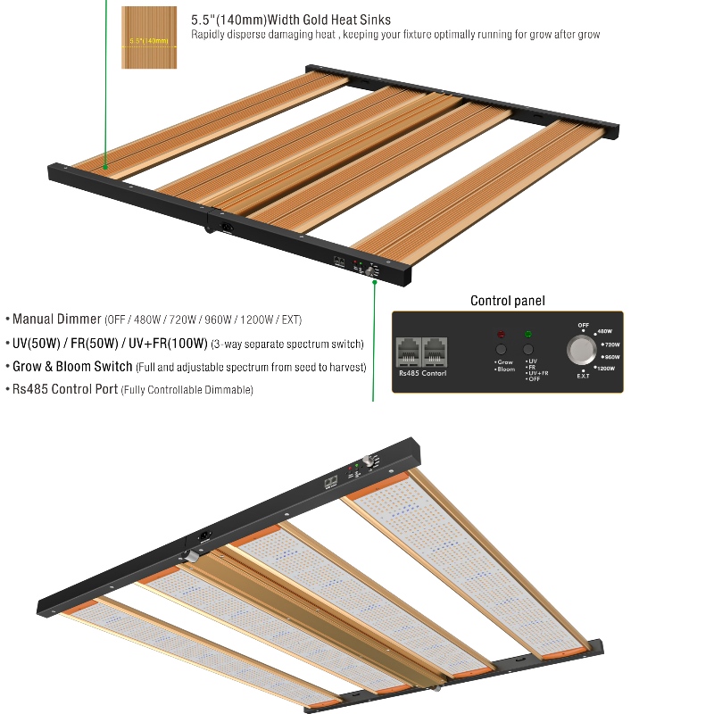 1704356129.jpg 2.jpg